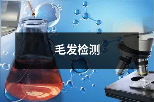 毛發(fā)檢測(cè) 