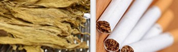 煙草檢測