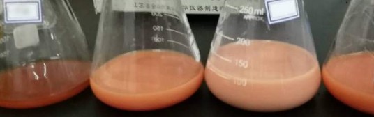 氯離子檢測