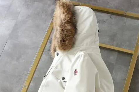 羽絨類檢測